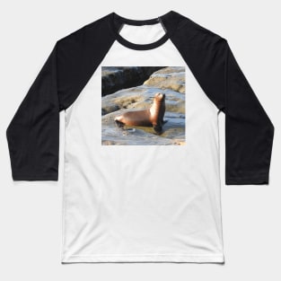 Young California Sea Lion, Marine Life, Wildlife, Nature Baseball T-Shirt